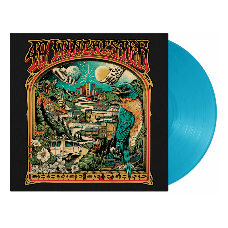 49-COP-BANDEXCL-TRANSNOSHADOW